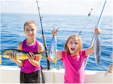 ddos压力测试网页端